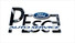 Logo Pesce Auto Service srl